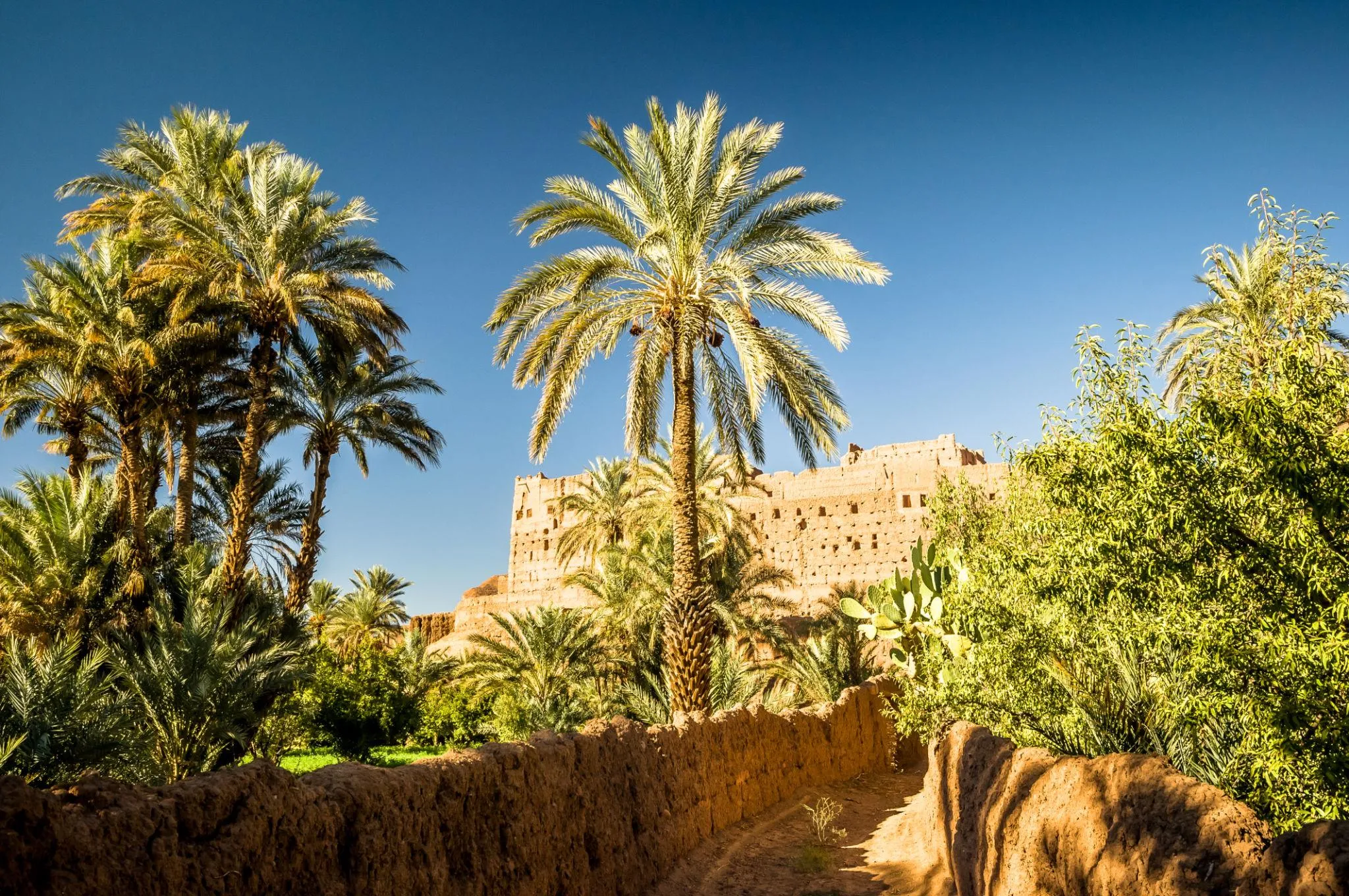 6 days tour from marrakech Sahara desert Morocco