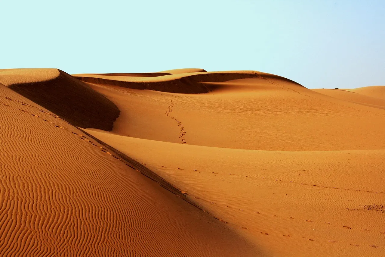 5 Days Tour from Marrakech camel ride in Merzouga Desert