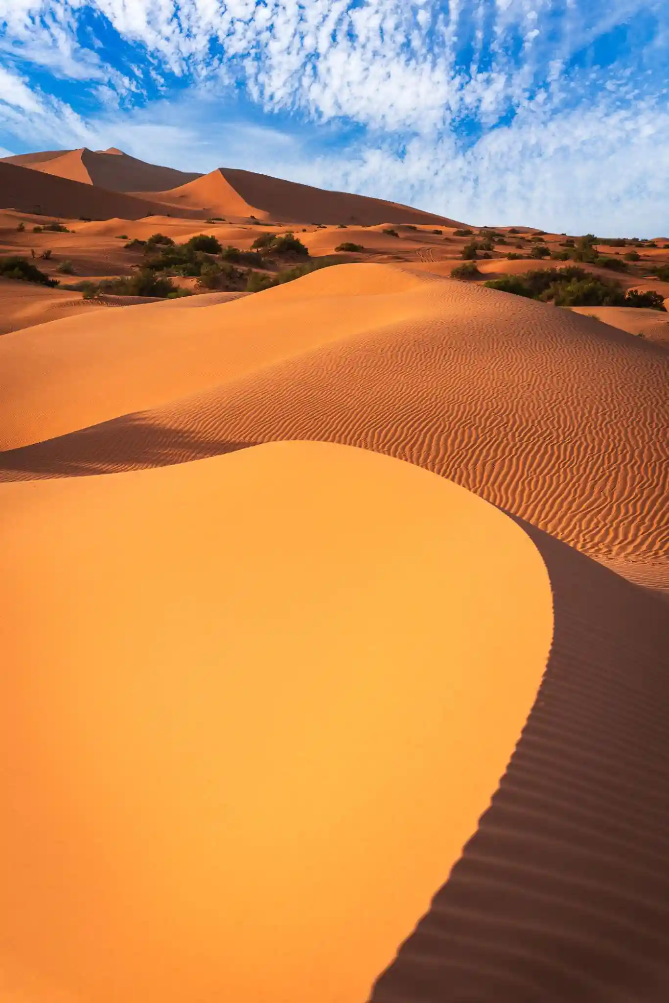15 Days Tour From Marrakech