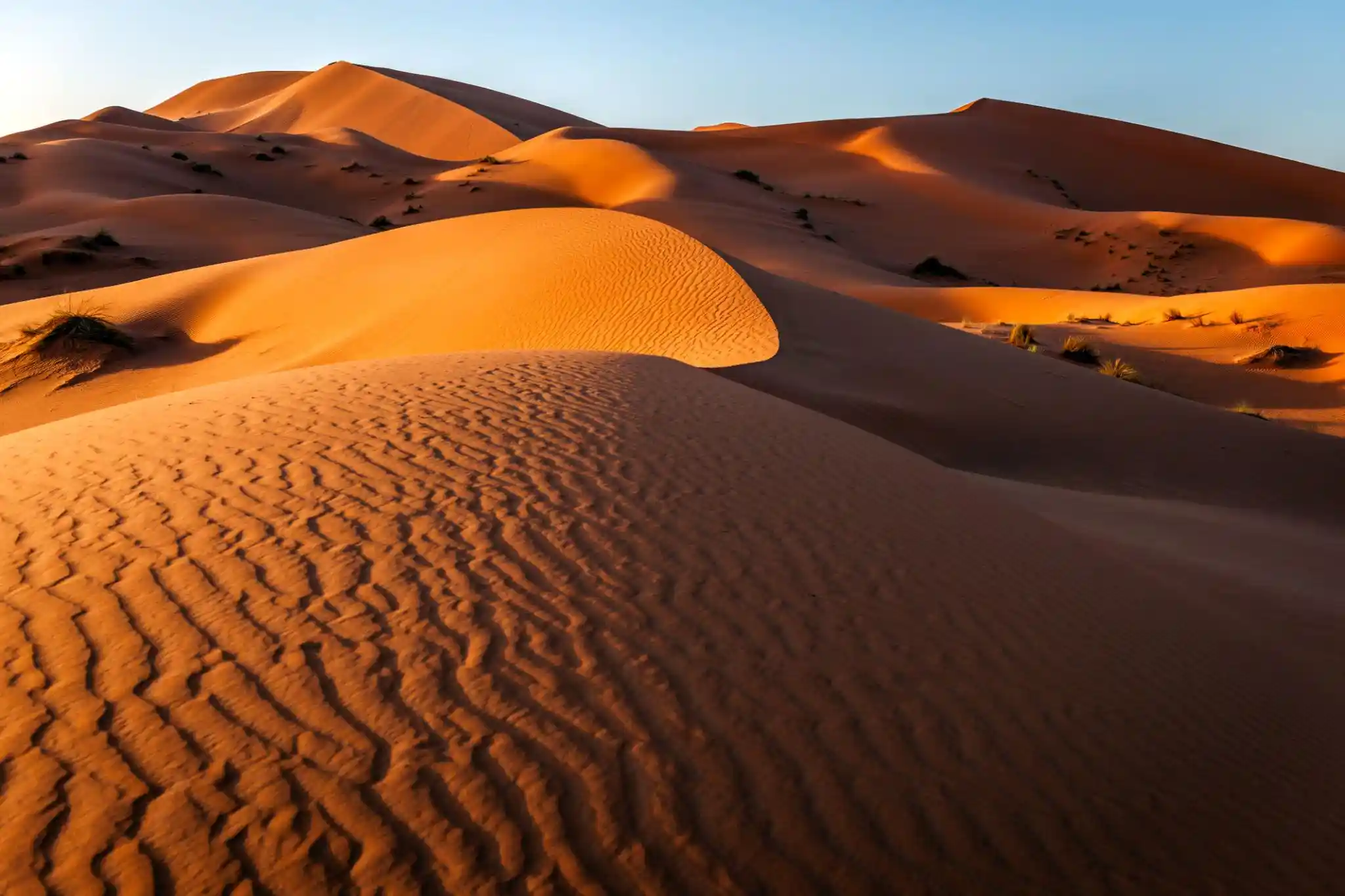 13 Days Tour From Marrakech through the Sahara Desert, imperial cities, and Atlantic coast