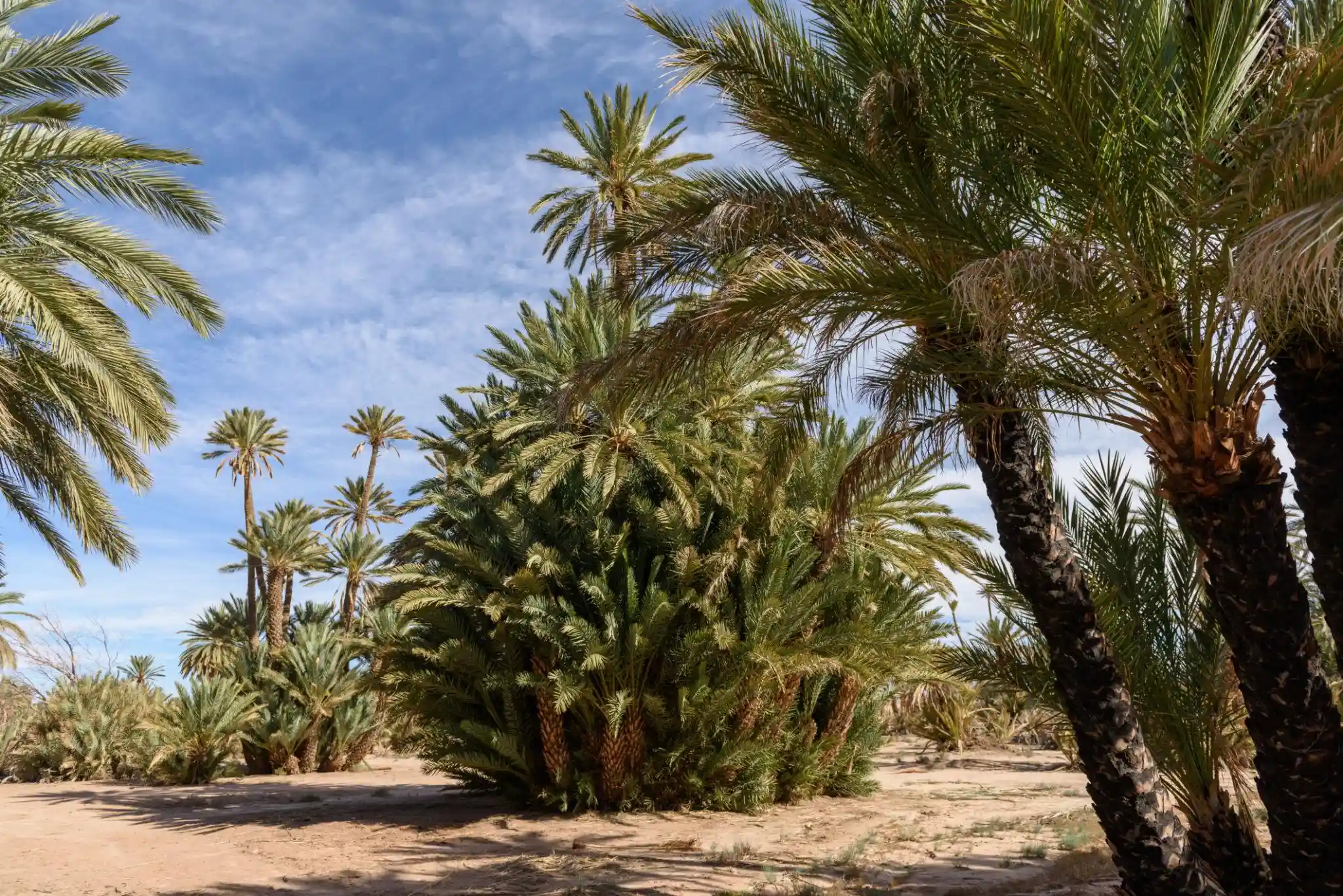 14 Day Morocco Itinerary From Marrakech
