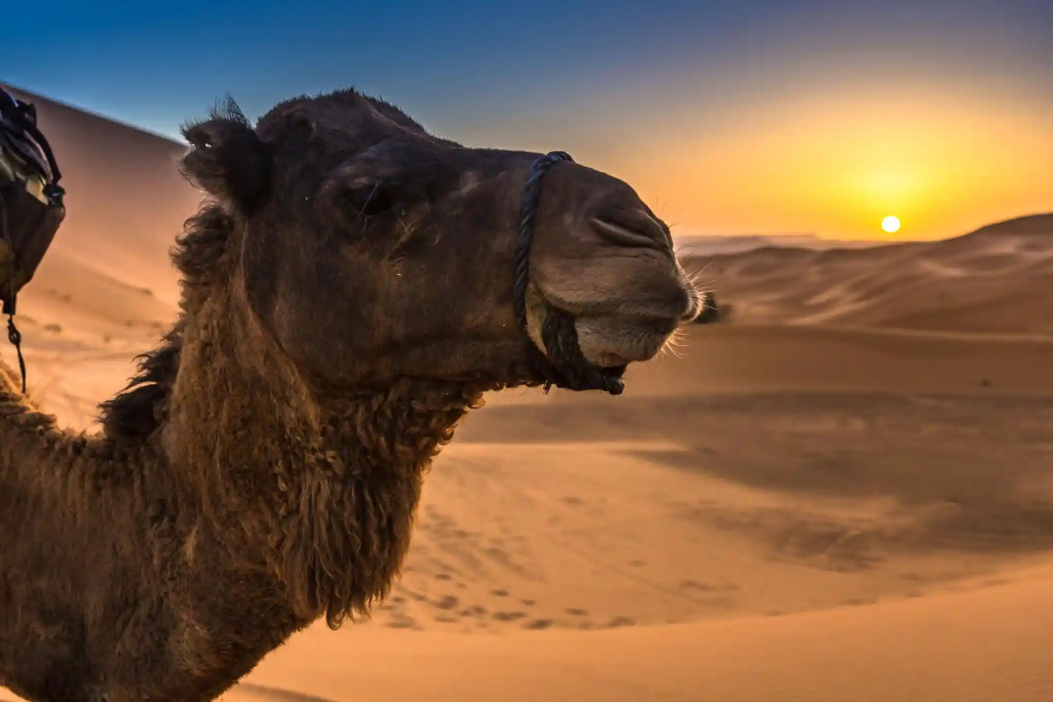 10 Days Morocco Itinerary from Marrakech through the Sahara Desert, Fes, Chefchaouen and Essaouira