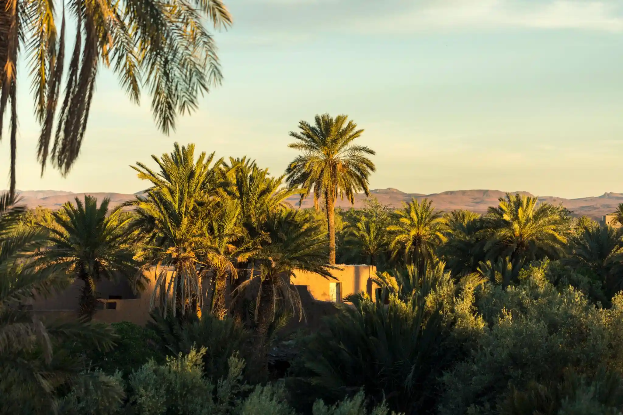 13 Days Tour From Marrakech through the Sahara Desert, imperial cities, and Atlantic coast