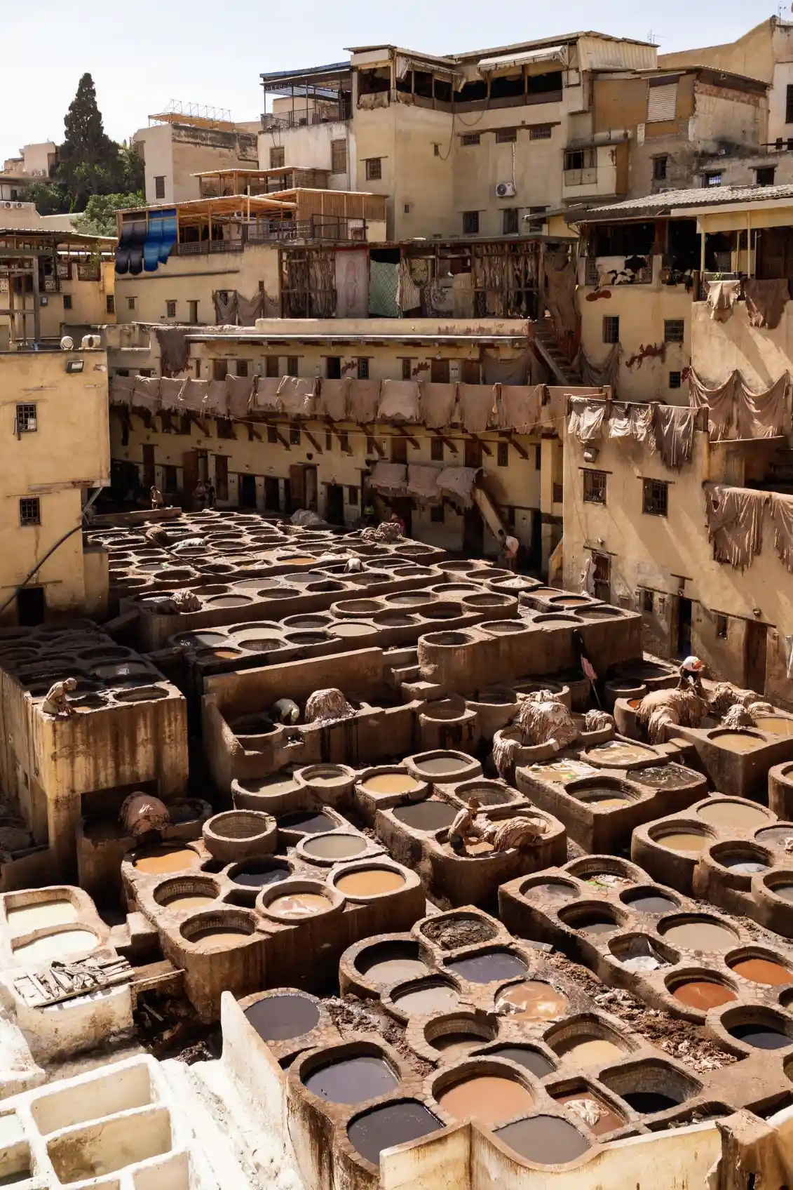 8 Days Tour From Fes