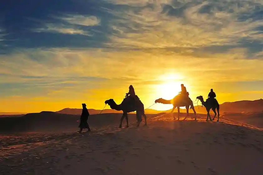 11 Days Tour From Fes