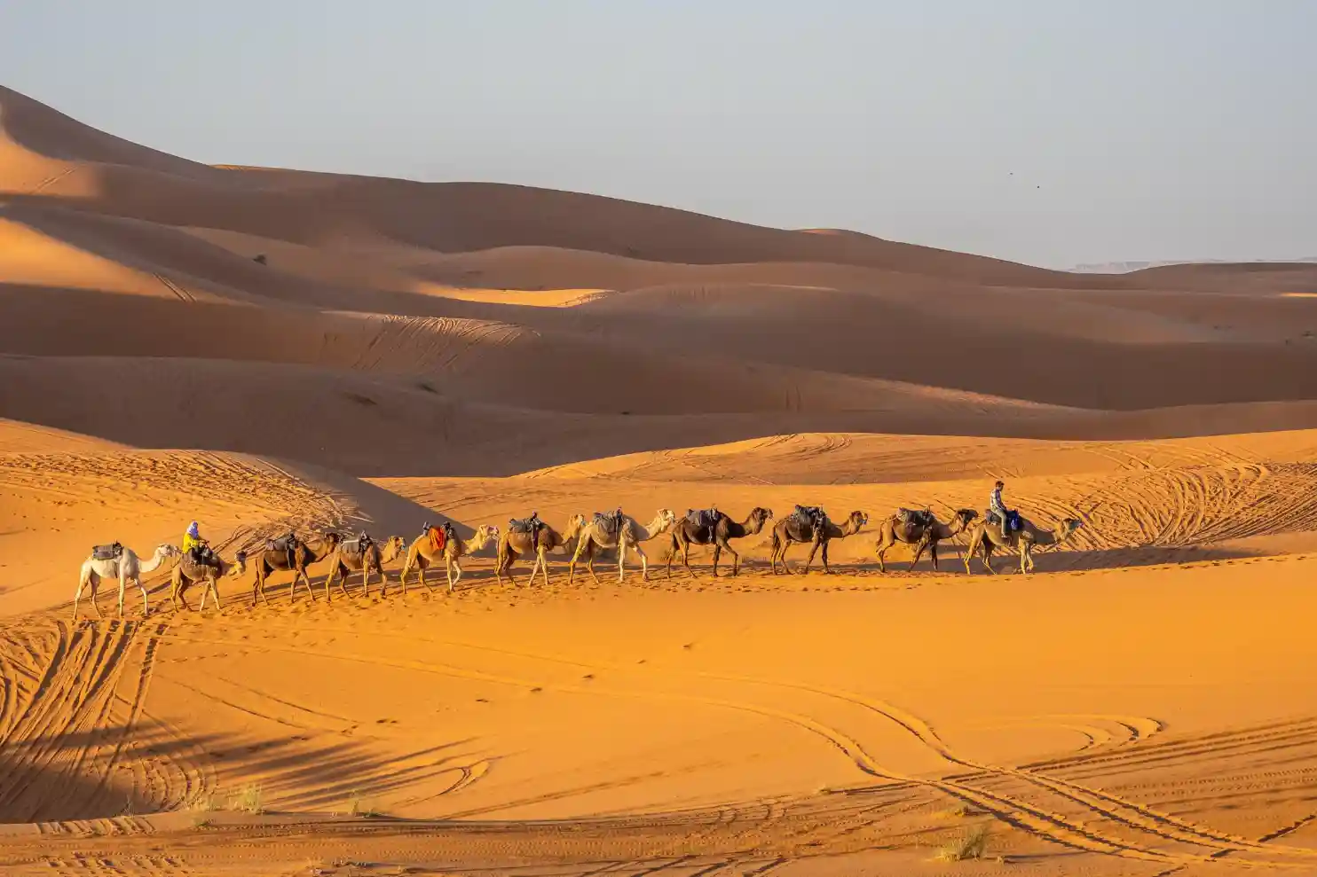 11 Days Tour From Fes