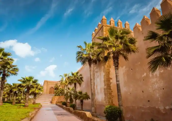 8 Days Tour from Tangier