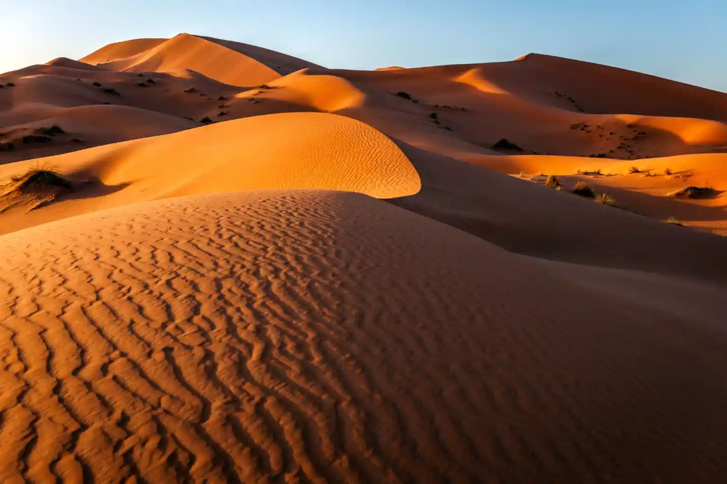 10 Days Tour from Tangier