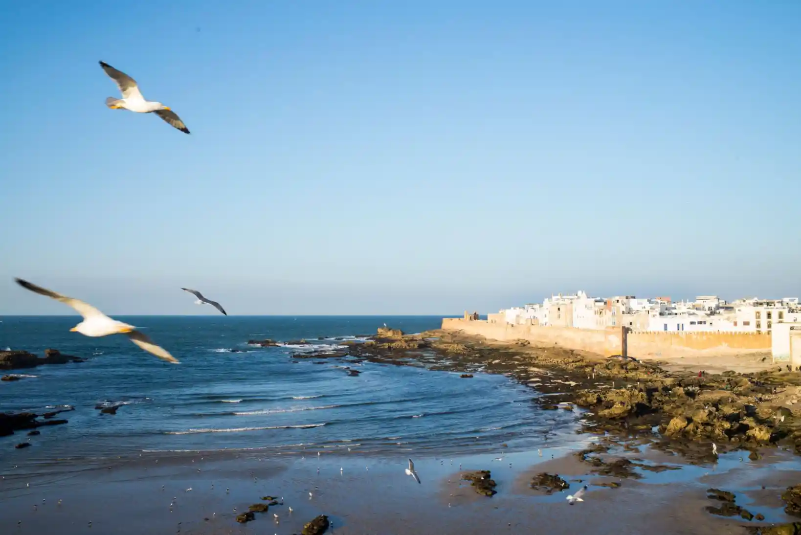 15 Days Desert Tour from Fes