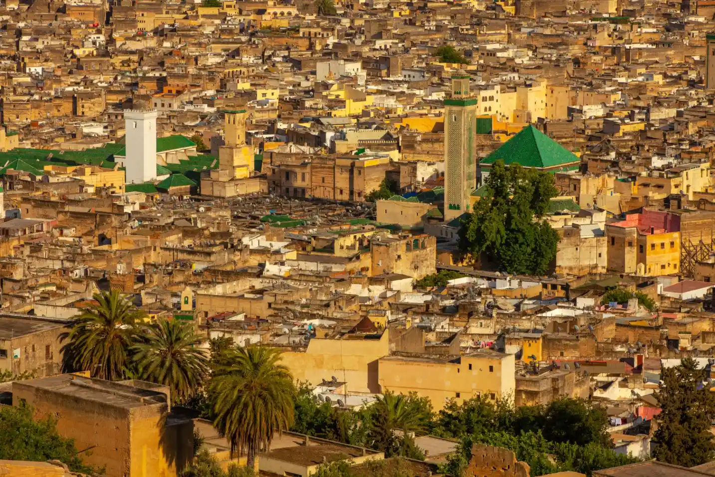8 Days Tour from Tangier