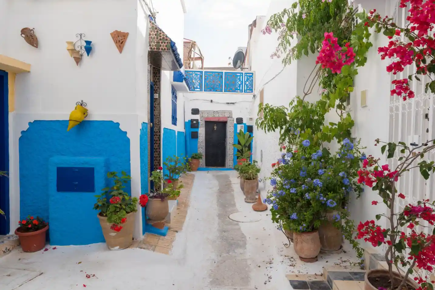 15 Days Tour from Casablanca