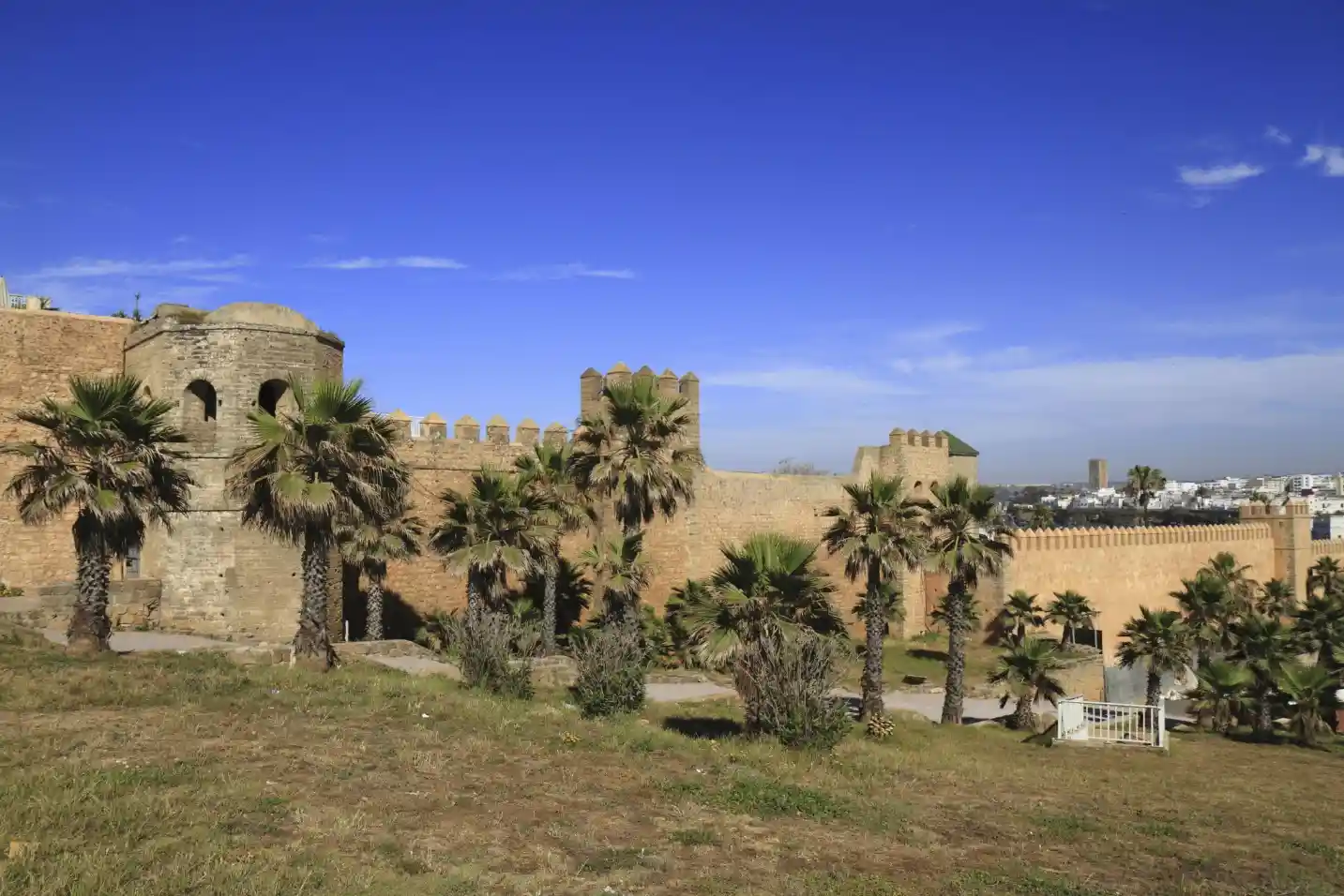 8 Days Tour from Tangier