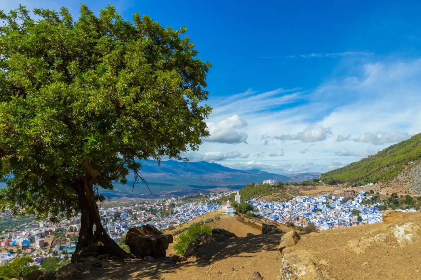 15 Days Tour from Casablanca