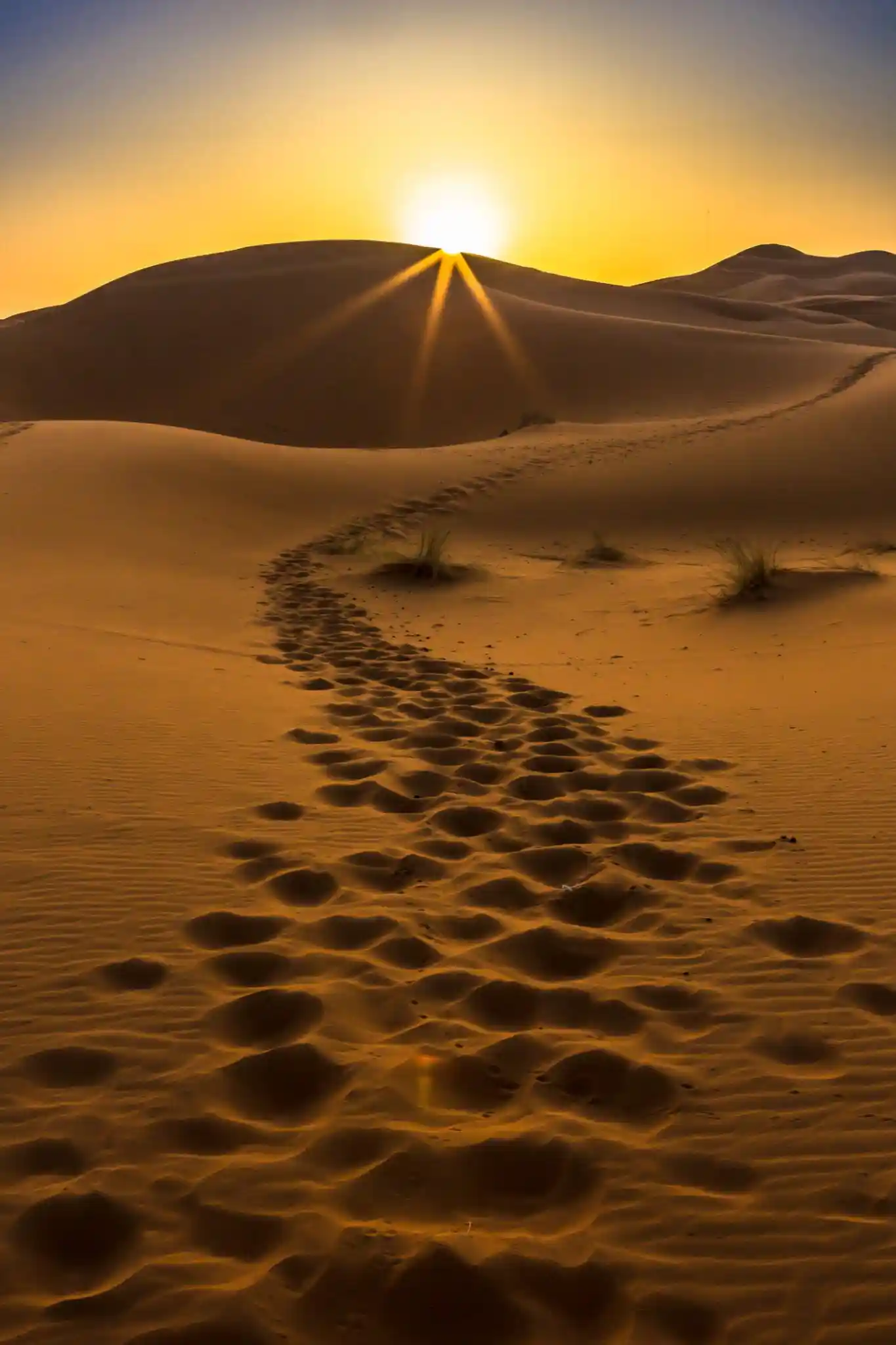 4 Days Tour from Fes to Marrakech