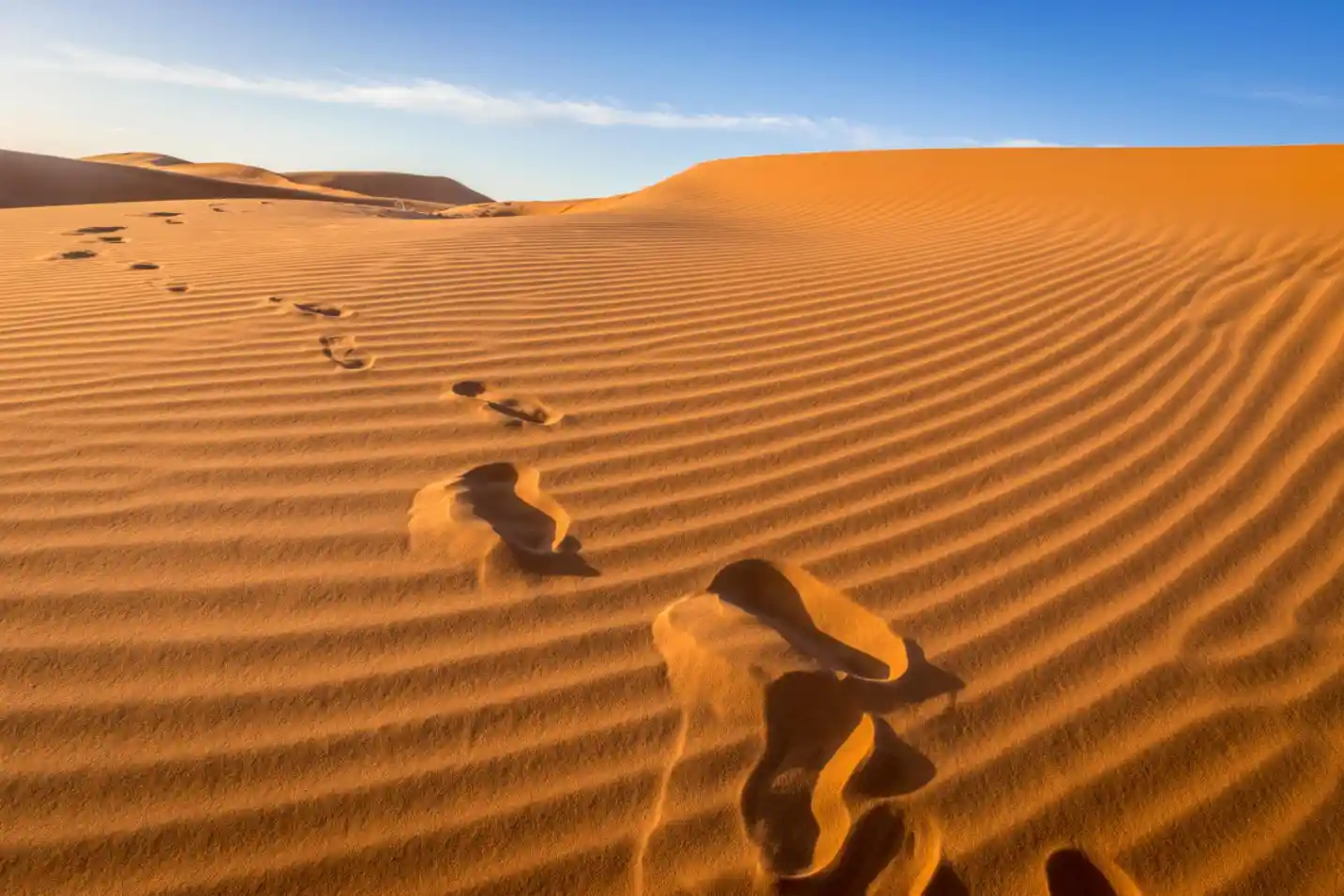 5 Days Tour from Casablanca