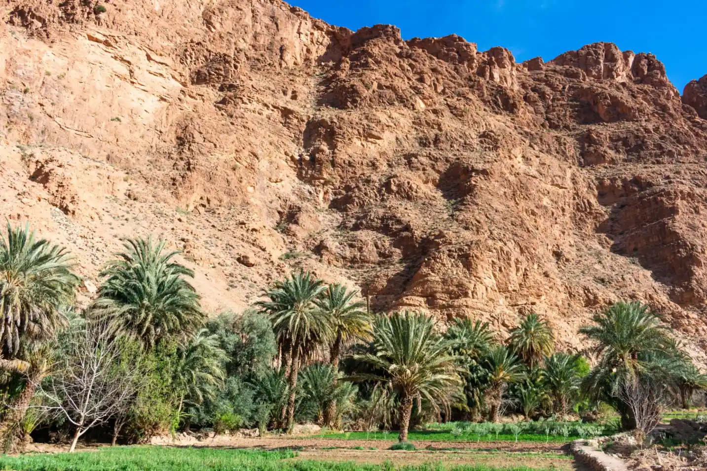 10 Days Tour from Tangier