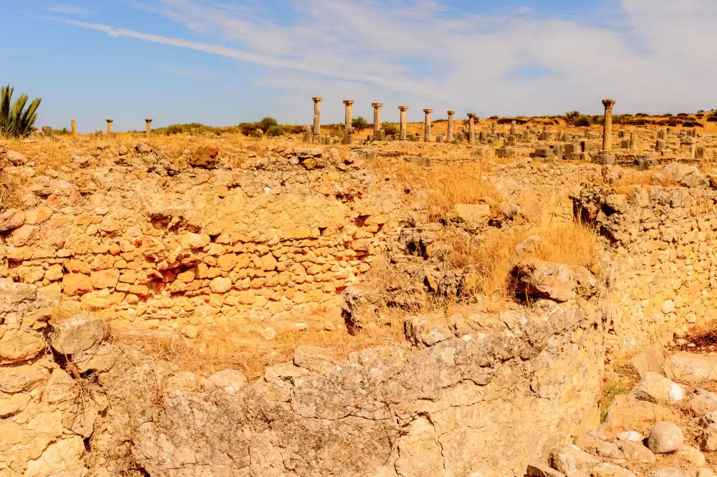 6 Days Tour from Tangier