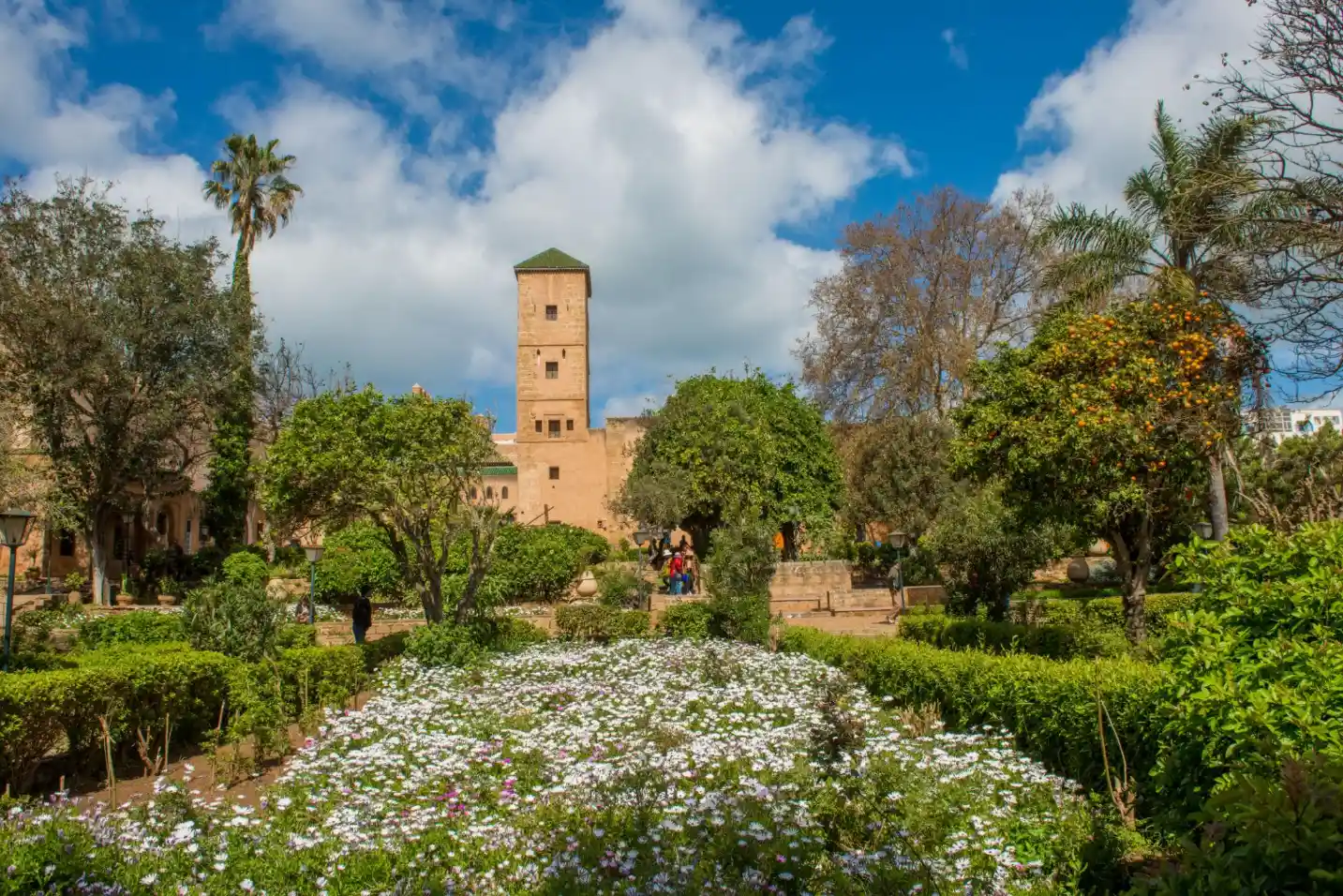 6 Days Tour from Casablanca