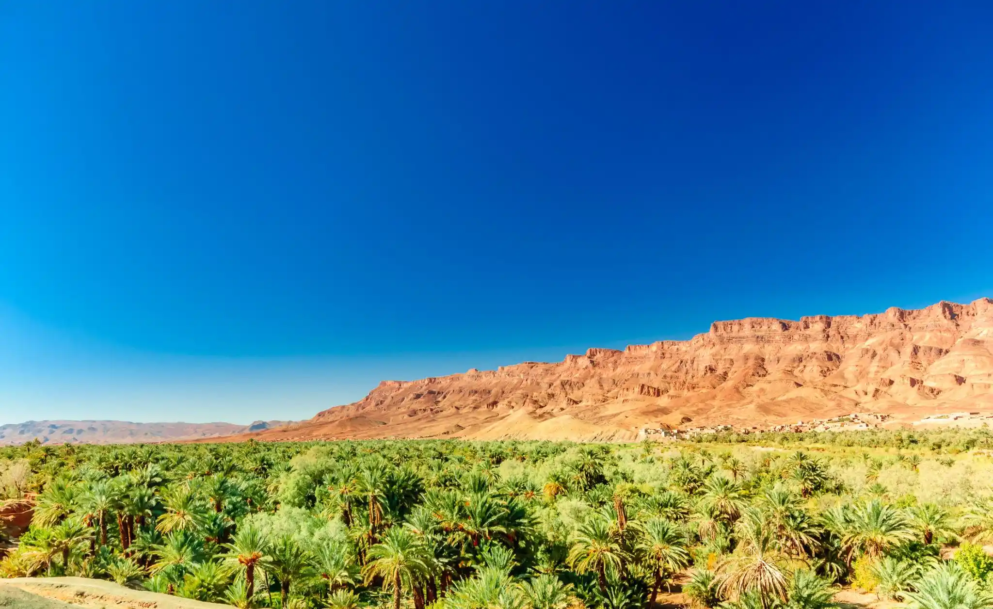 9 Days Tour From Marrakech Draa Valley Palm Oasis