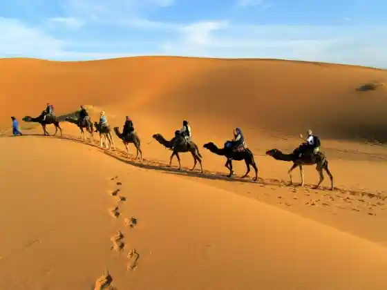 13 Days Tour from Tangier
