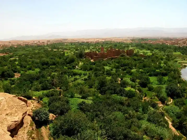 14 Days Tour From Tangier & Back in Morocco