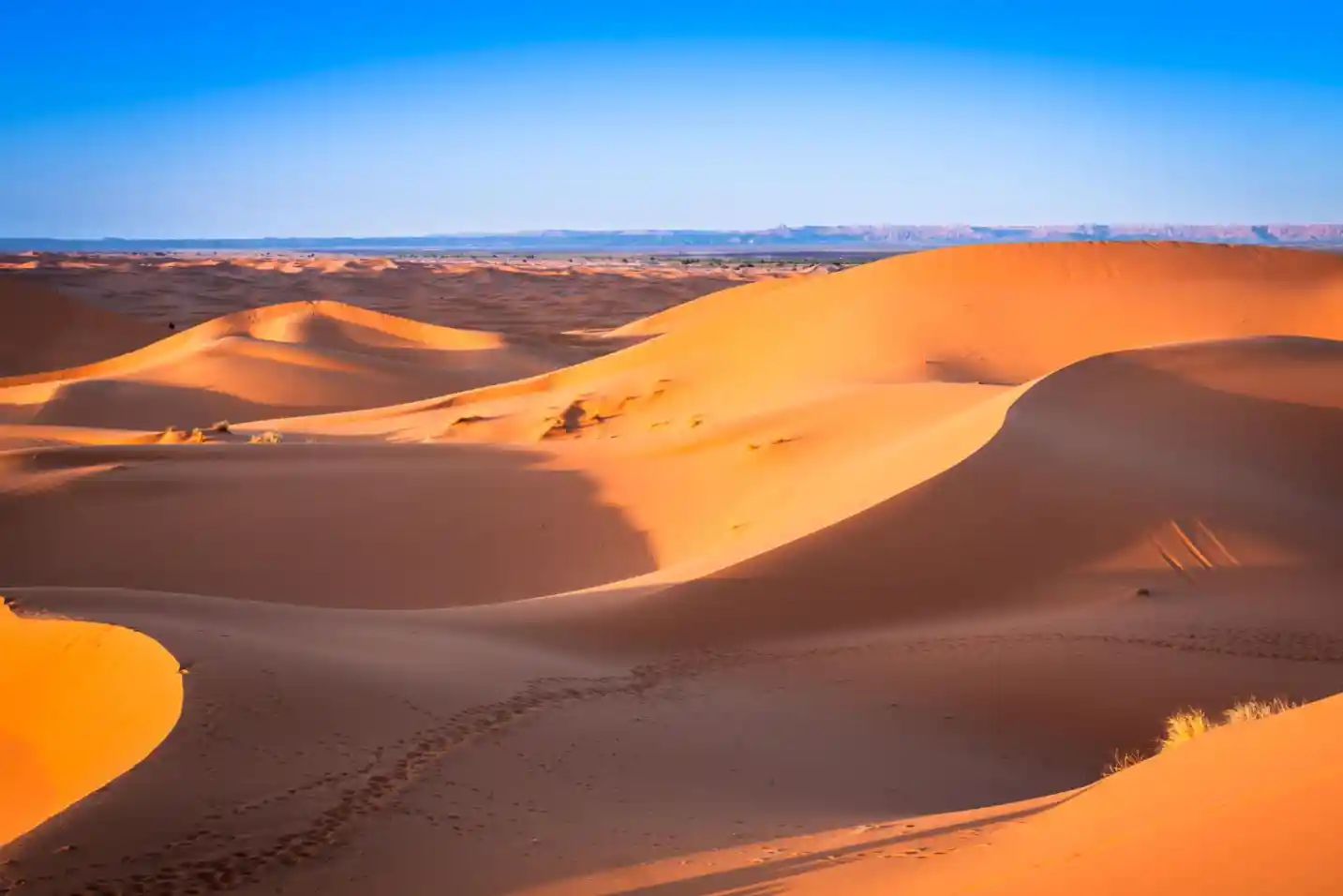 15 Days Tour from Tangier across Morocco