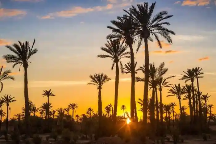 6 Days Tour from Ouarzazate to Marrakech via Merzouga and Ait Ben Haddou