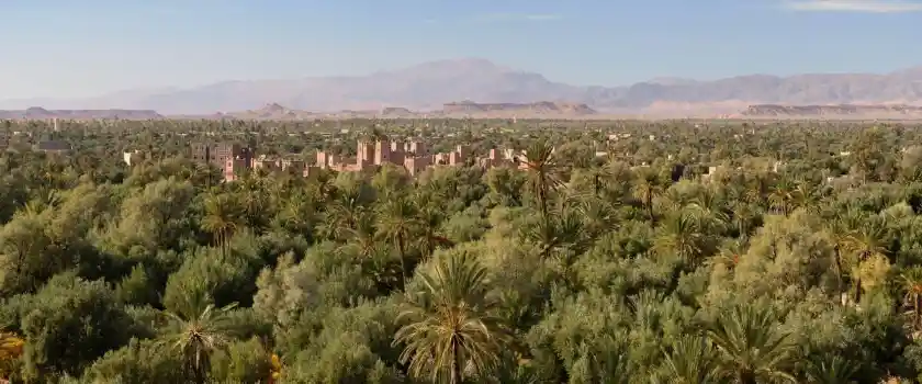 4 Days Tour from Ouarzazate to Merzouga with Dades Valley, Todra Gorge, Sahara Desert, Zagora and Draa Valley