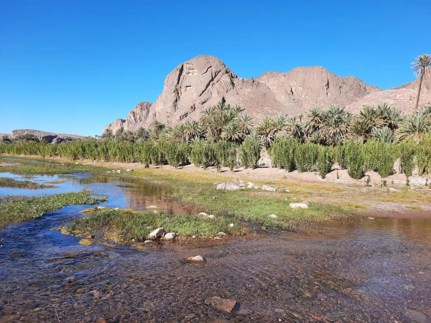 4 Days Tour from Ouarzazate to Merzouga with Dades Valley, Todra Gorge, Sahara Desert, Zagora and Draa Valley