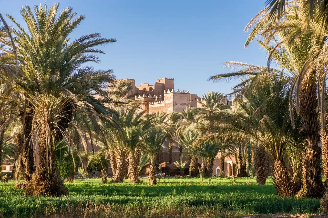 8 Days Tour from Ouarzazate to Marrakech via Merzouga and Ait Ben Haddou