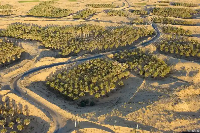 4 Days Tour from Ouarzazate to Merzouga with Dades Valley, Todra Gorge, Sahara Desert, Zagora and Draa Valley