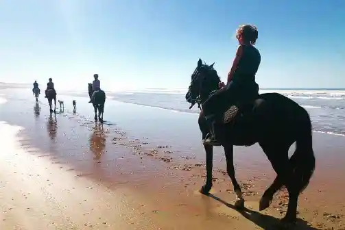Horse Riding in Essaouira along the Atlantic coast