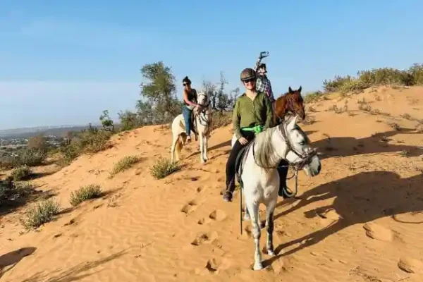 Horse Riding in Essaouira