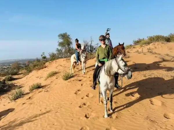 Horse Riding in Essaouira