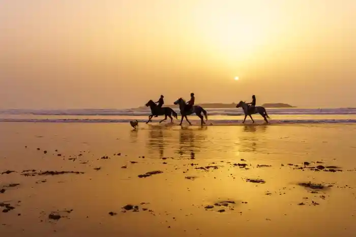 Horse Riding in Essaouira along the Atlantic coast