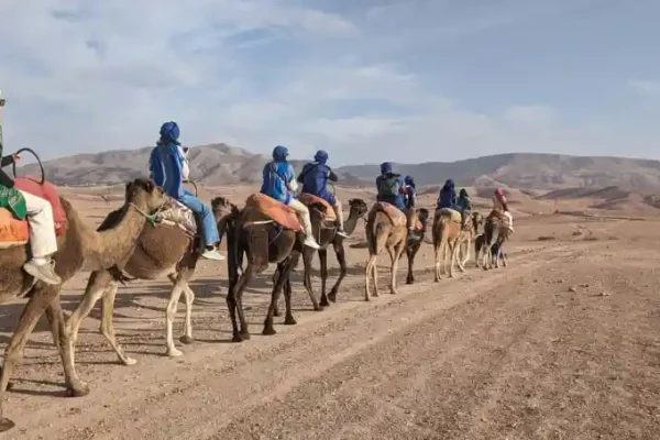 Camel Ride in Agafay Desert
