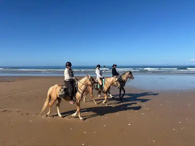 Horse Riding in Essaouira along the Atlantic coast