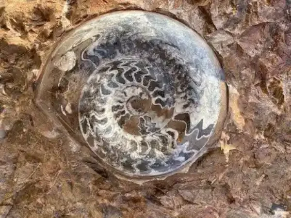 9 Days Morocco Geology Tour
