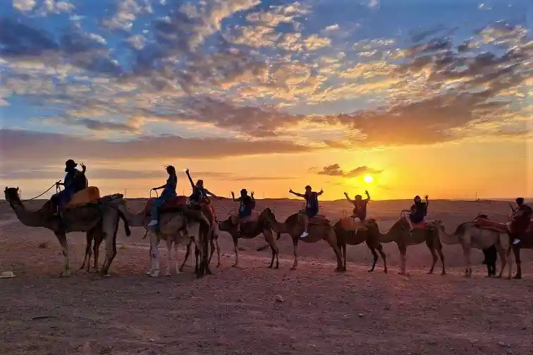 Camel Ride in Agafay Desert near Marrakech