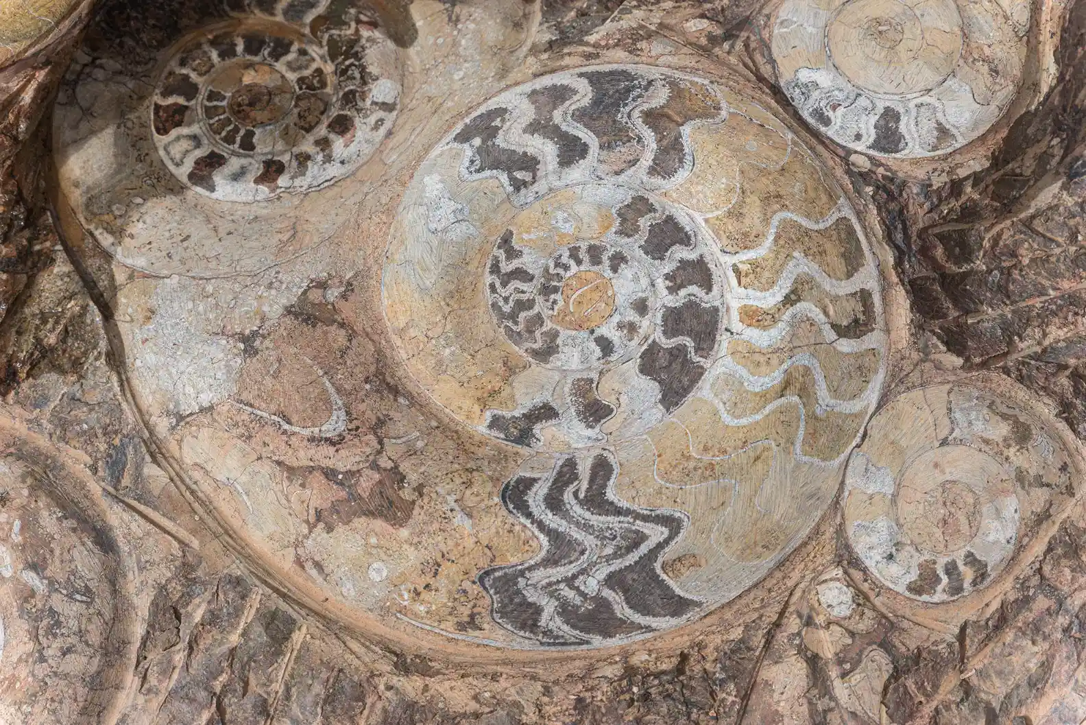 Morocco geology tour through Atlas Mountains and Sahara