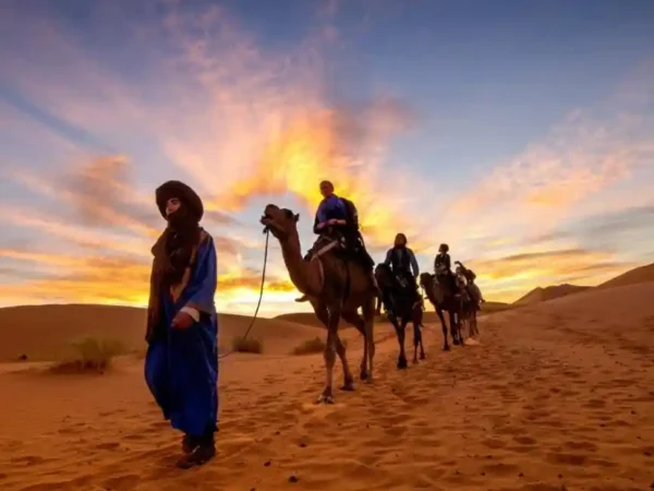 Sahara Camel Trek in Merzouga
