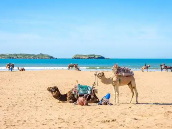 Essaouira Day Trip from Marrakech