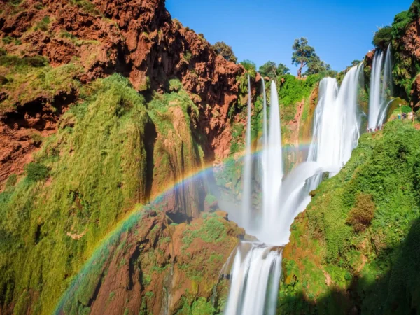Ouzoud Waterfalls Private Day Trip from Marrakech