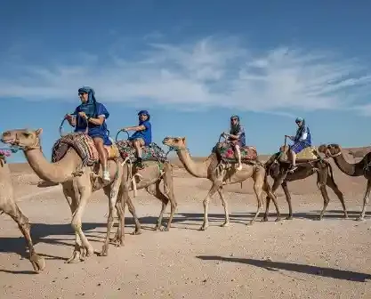 Camel Ride in Agafay Desert near Marrakech