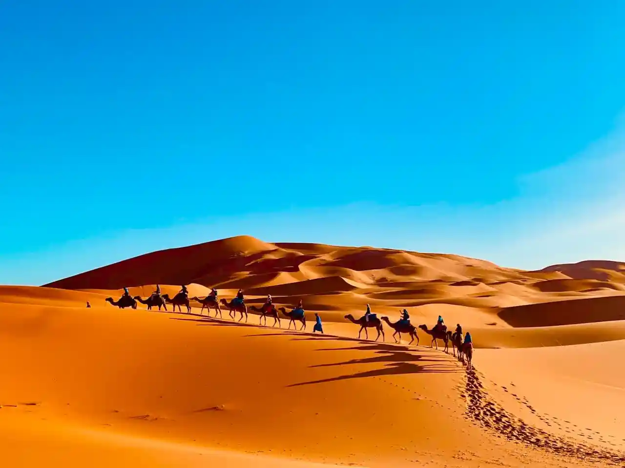 Sahara Camel Trek in Merzouga Erg Chebbi dunes